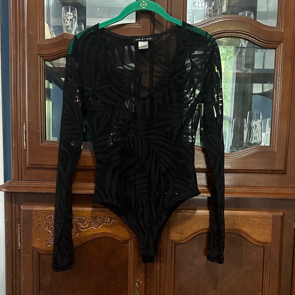 Black Sheer Long Sleeve Bodysuit